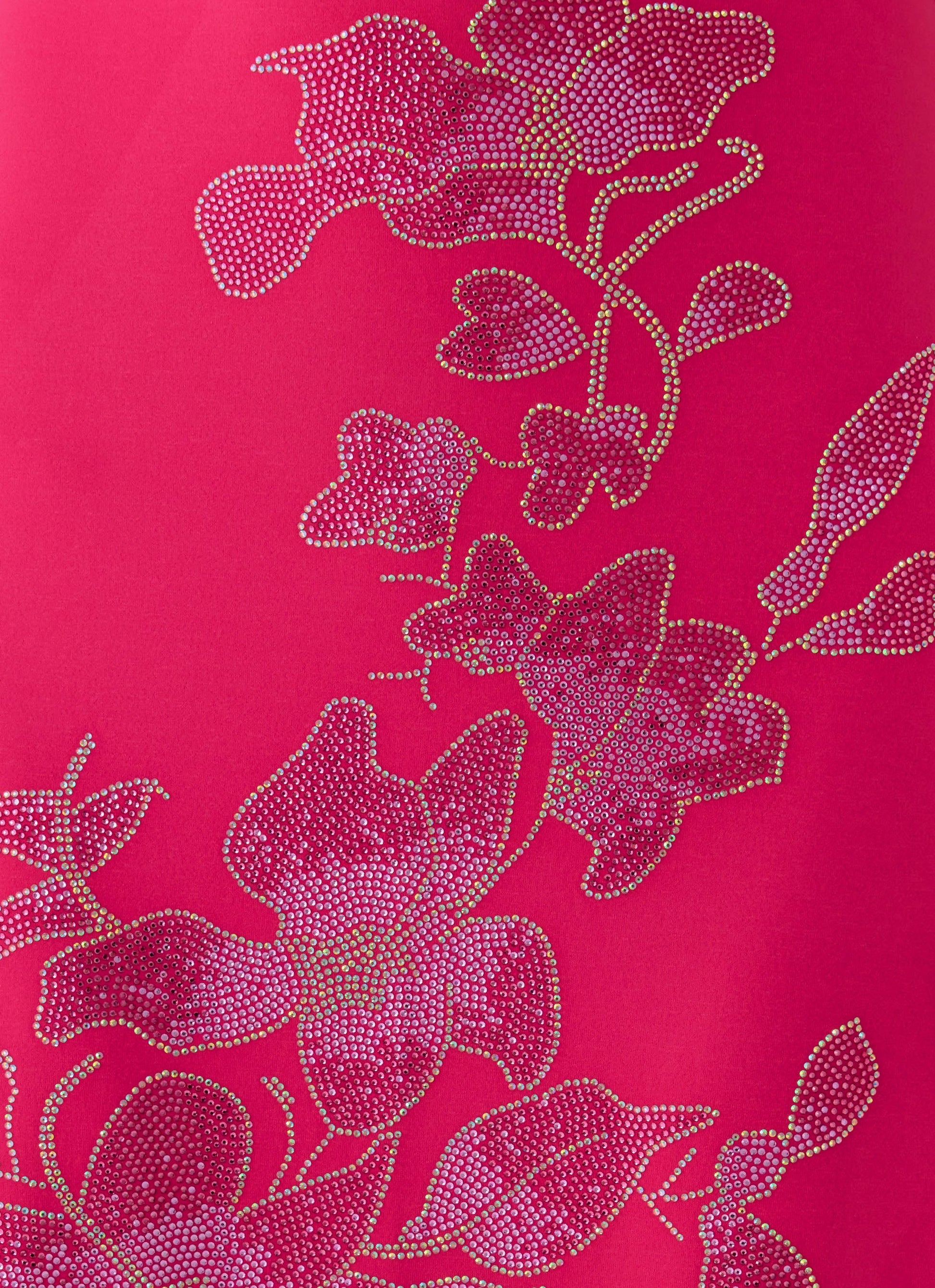 Carmine Embellished Maxi Dress - Fuchsia